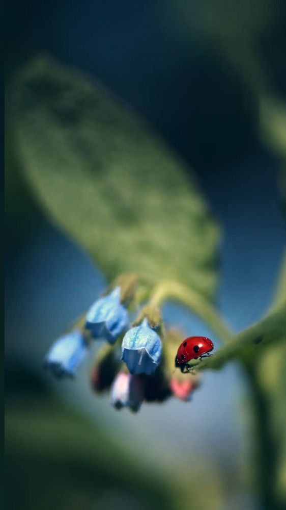 Photograph by Сергей Казаков