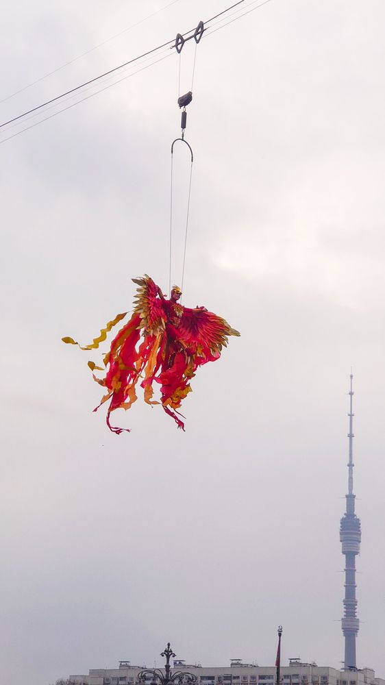 Фотография автора Elena Ku