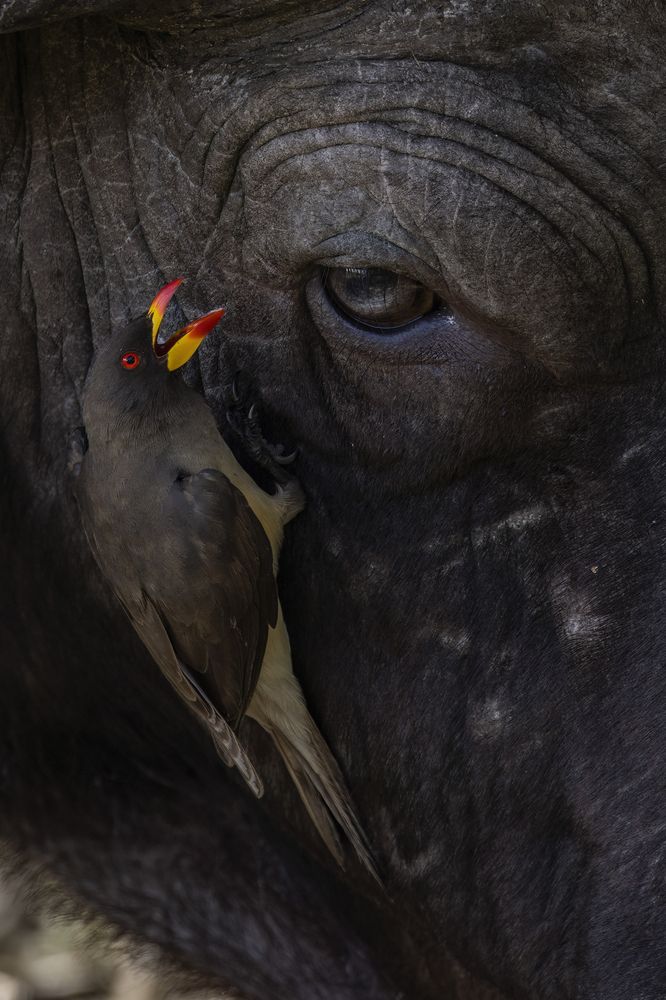 Photograph by Варвара Дронова