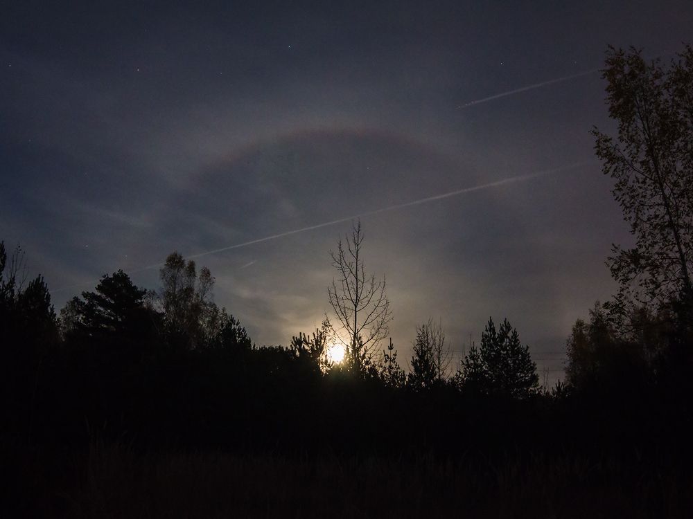 Фотография автора Борис Журавлёв