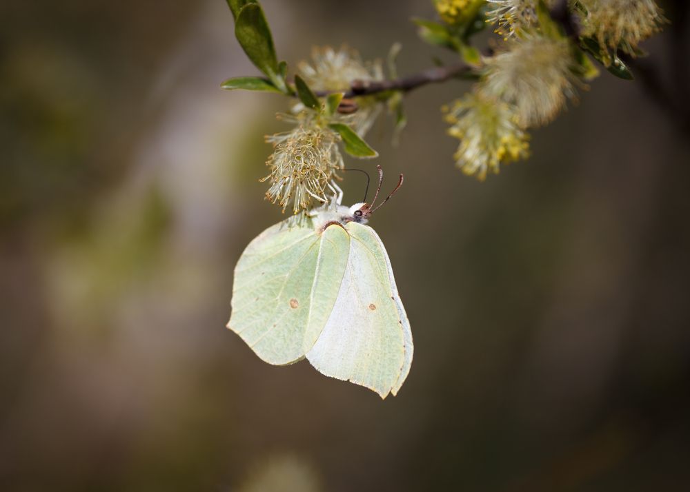 Photograph by Яна Нарбутович