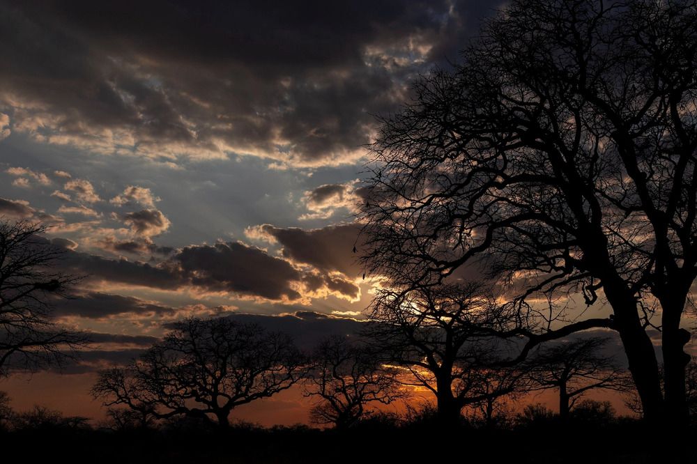 Фотография автора Варвара Дронова