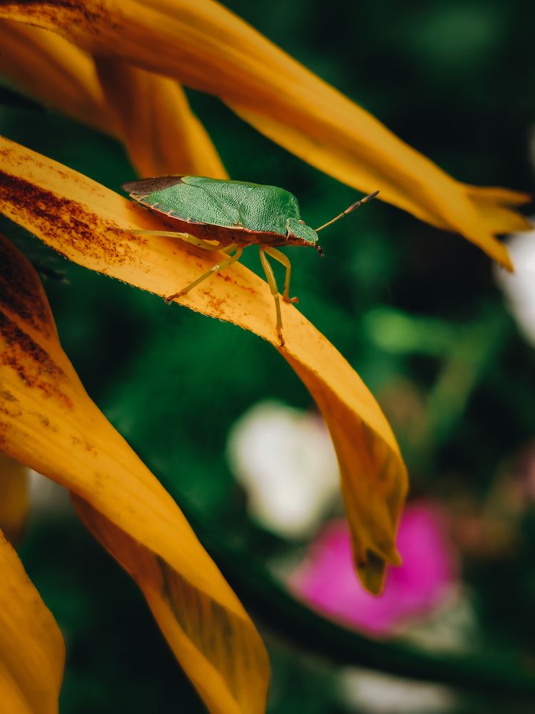 Photograph by Алексей Еремеев