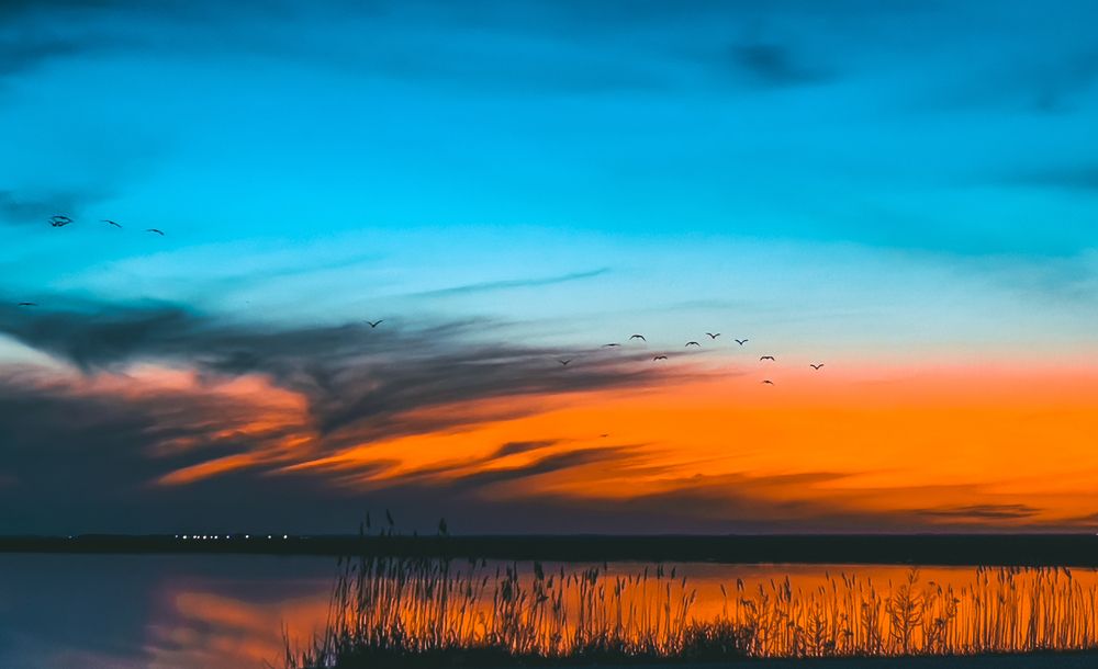 Фотография автора Николай Лысенко