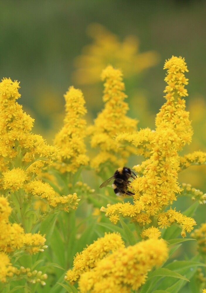 Photograph by Наталья Резванова