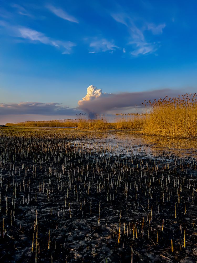 Фотография автора Николай Лысенко