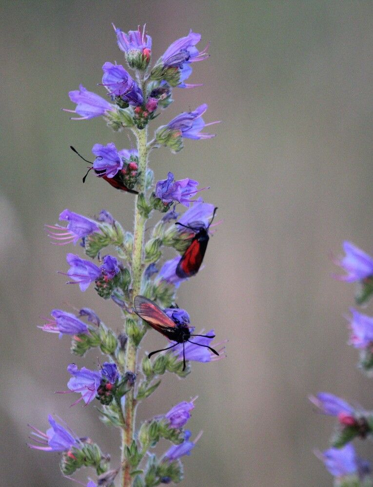 Photograph by Наталья Резванова