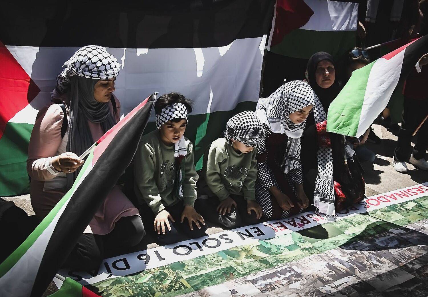 Lienzo por Palestina