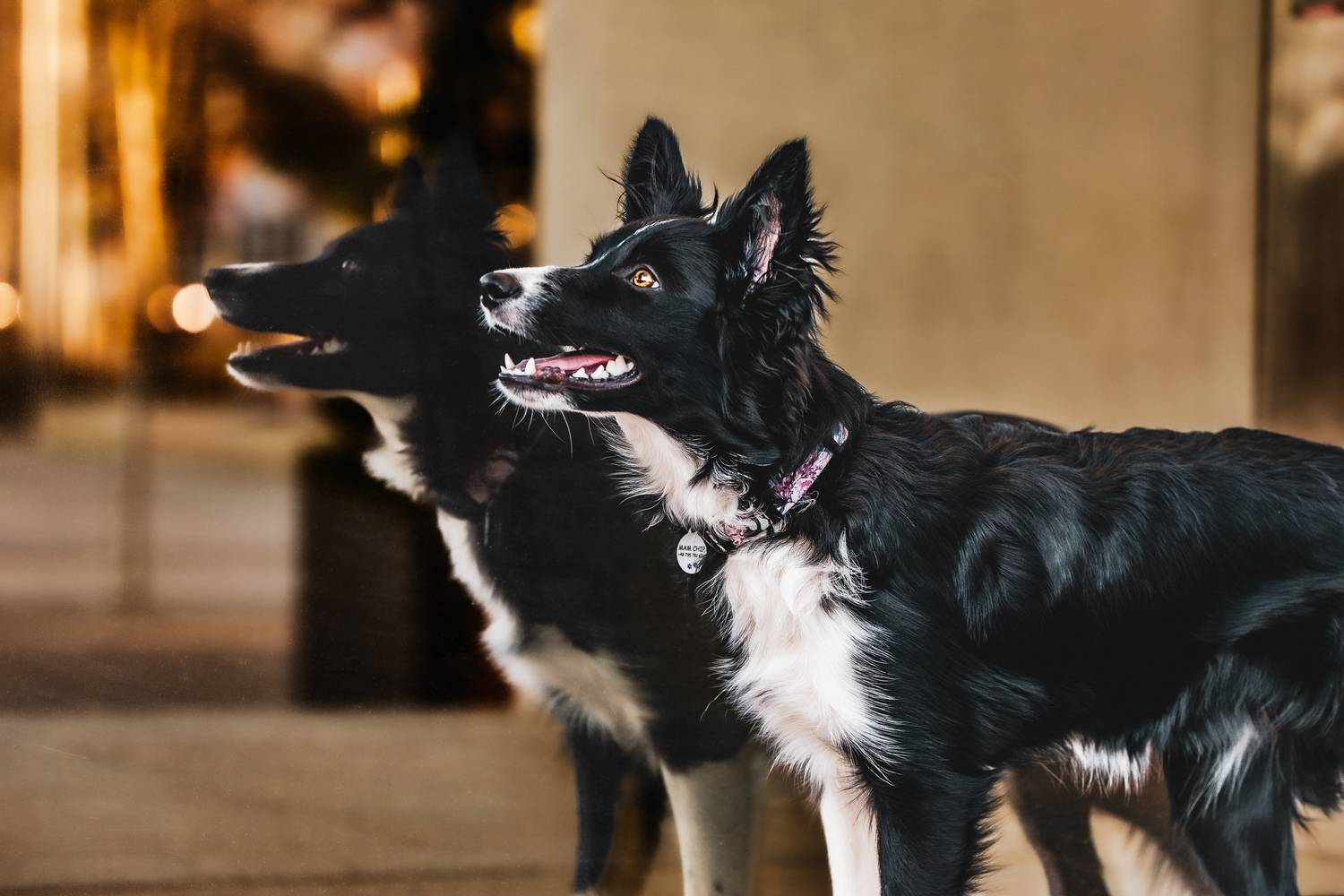 Фотография #12056656