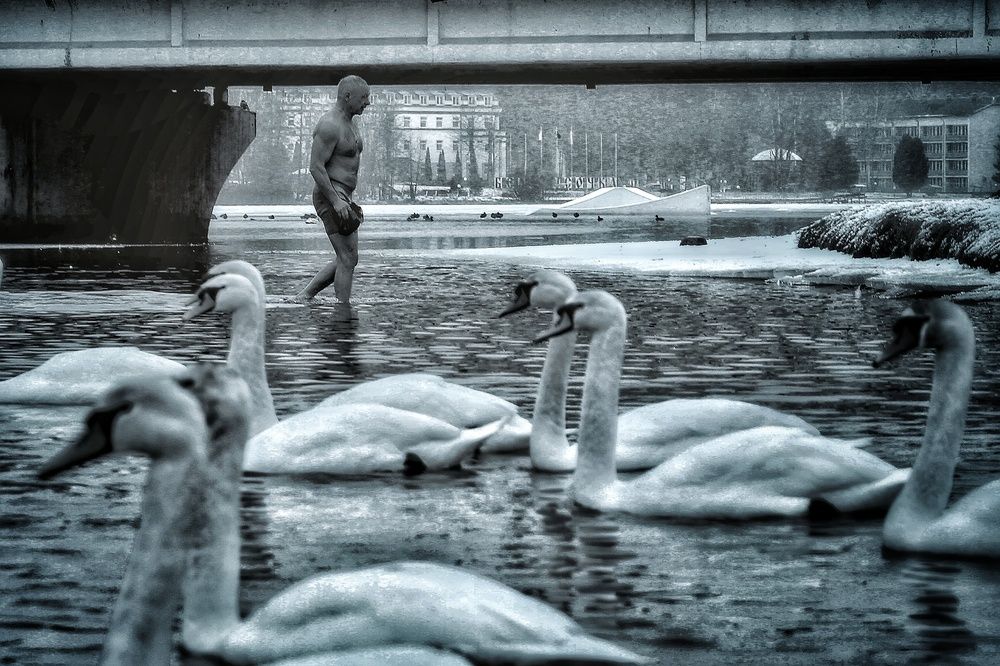 Фотография автора Максим Светличный