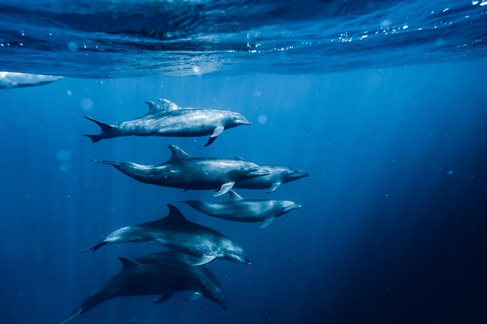 Photograph by Nicolás Marin