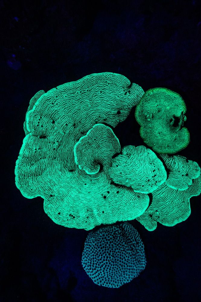 Photograph by Nicolás Marin