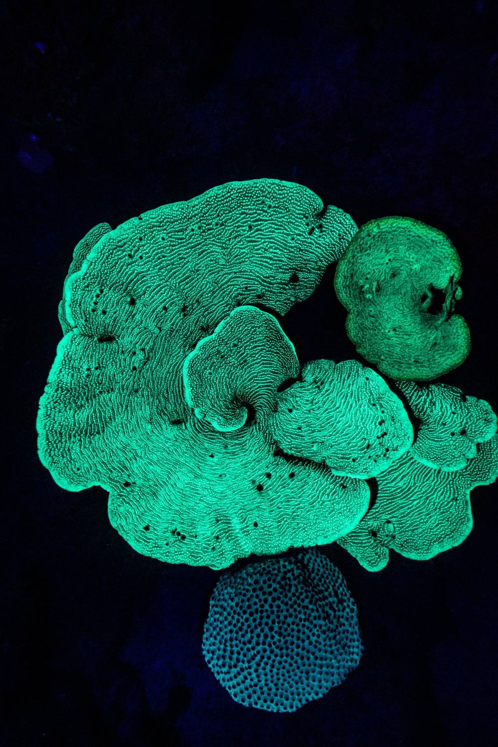 Фотография #12056800