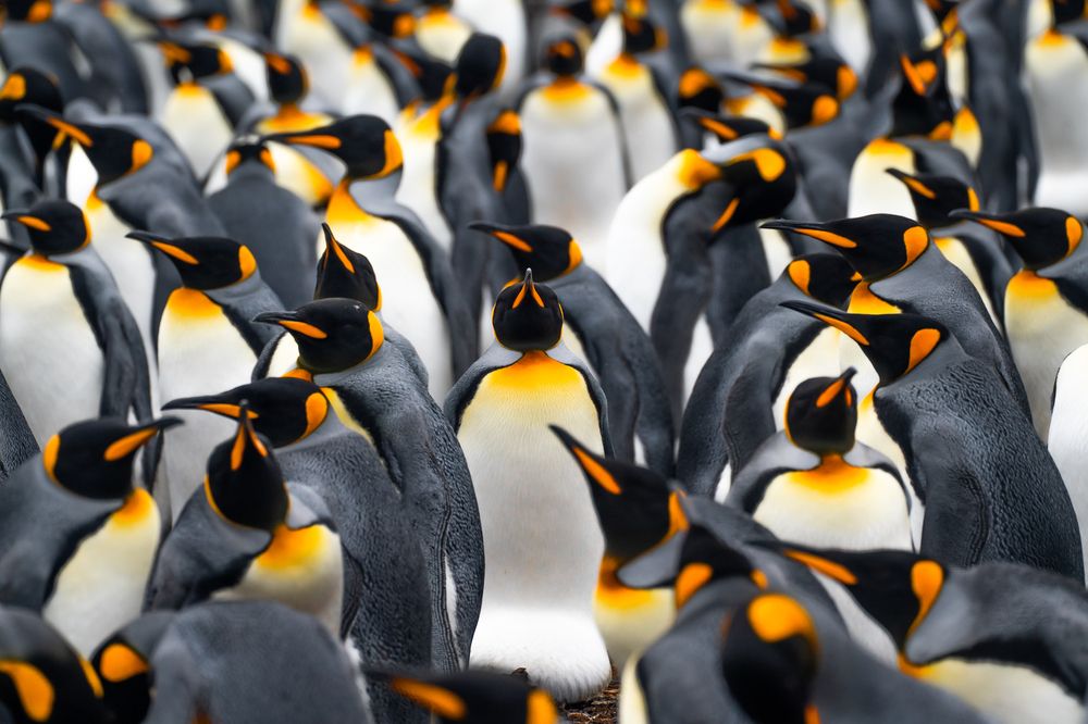 Photograph by Nicolás Marin