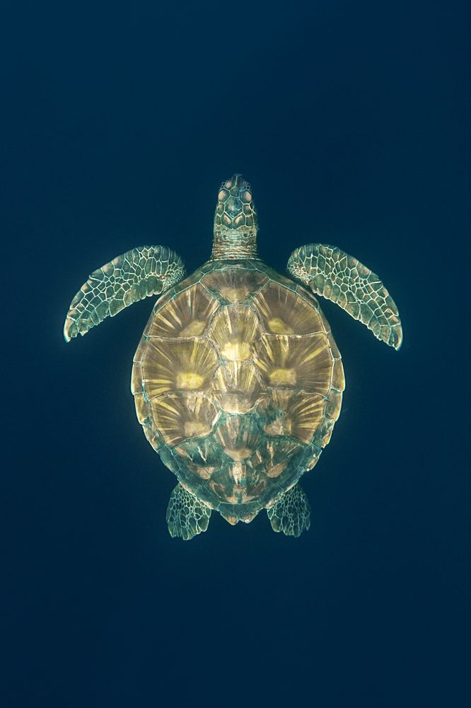Photograph by Nicolás Marin