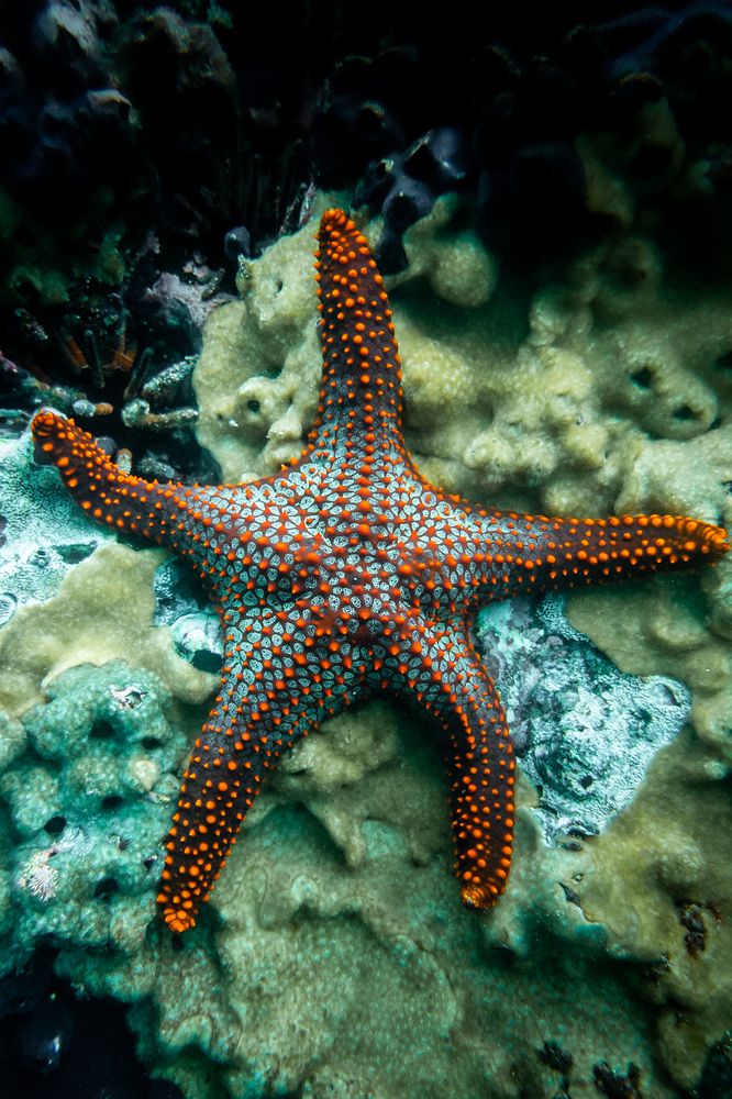 Photograph by Nicolás Marin