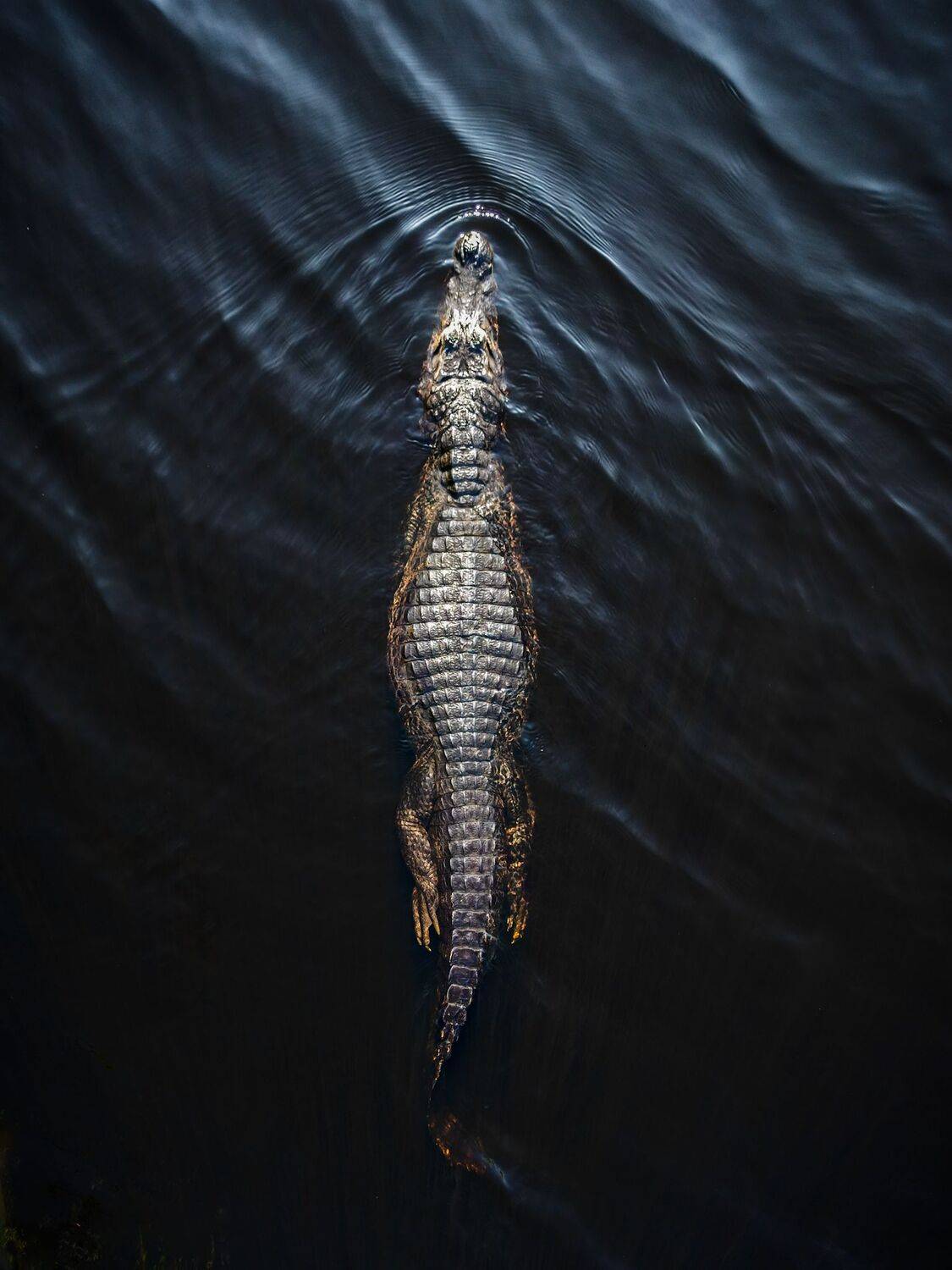 Фотография #12056818