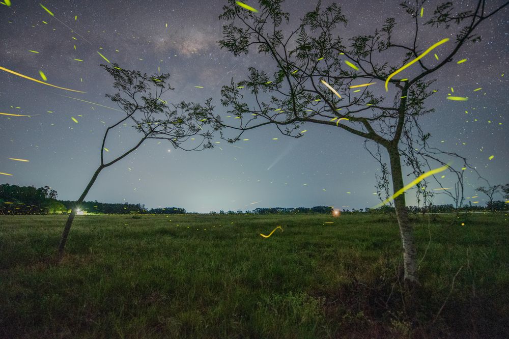 Photograph by agustin molo