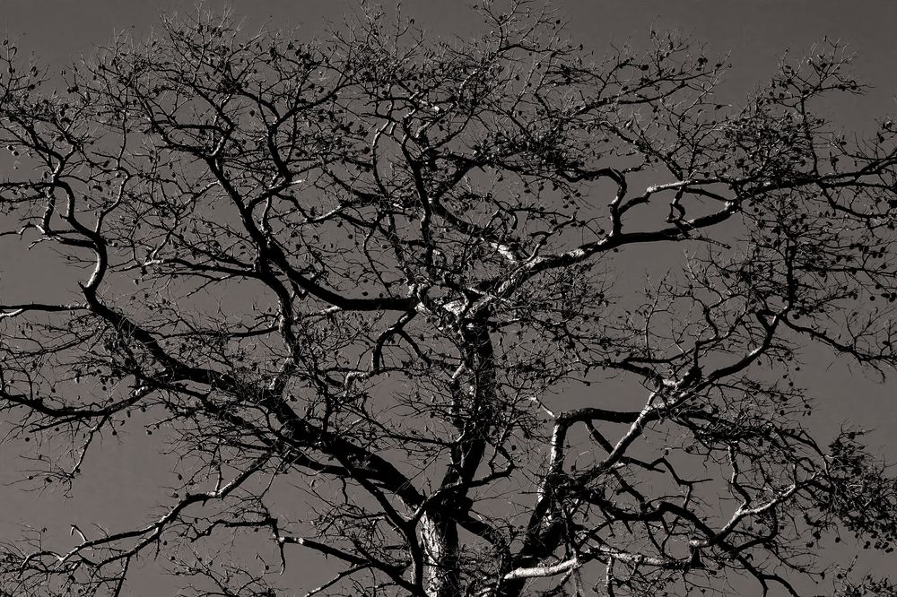 Photograph by Vladimir Vasilyev