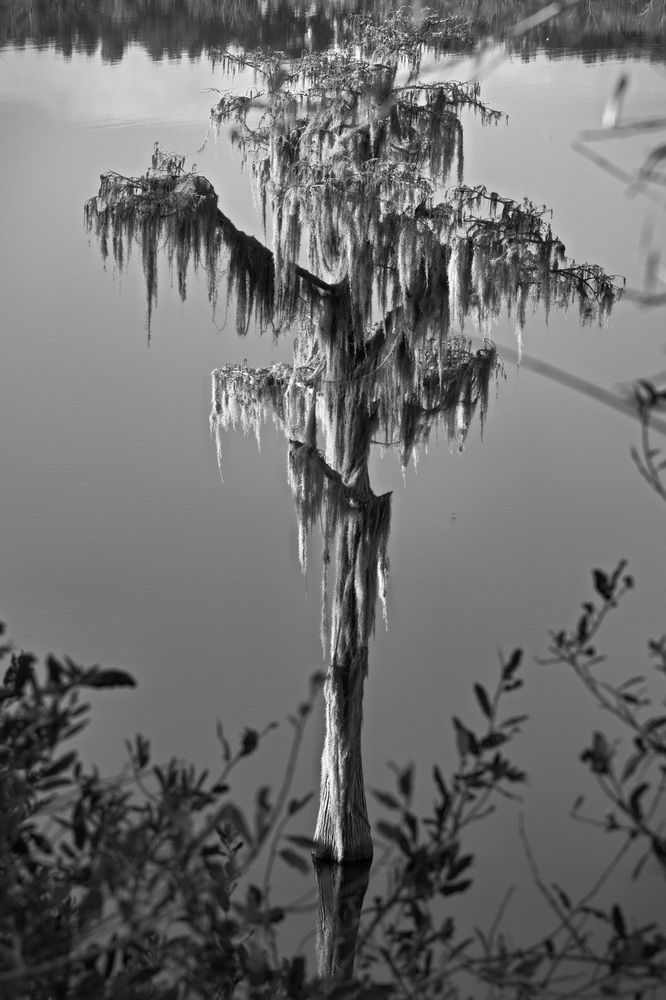 Photograph by Vladimir Vasilyev