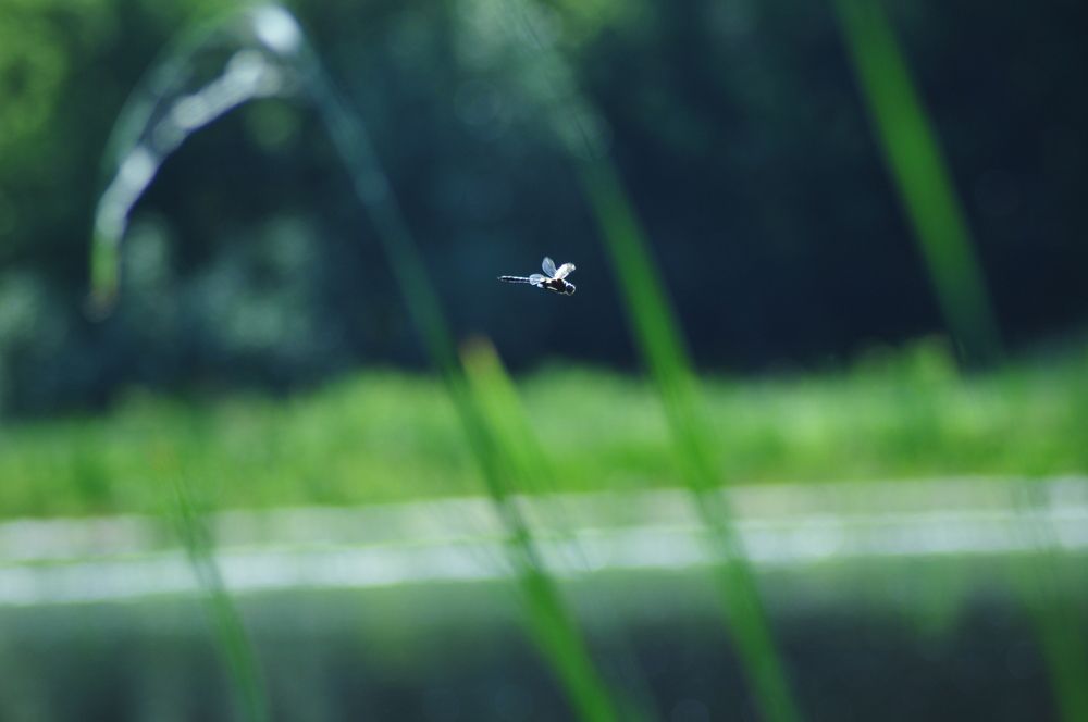 Photograph by Константин