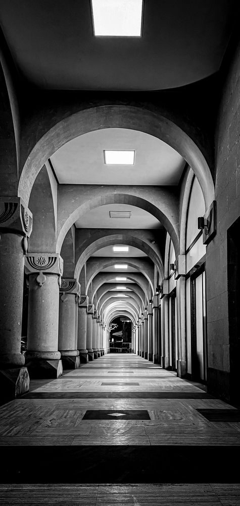 Photograph by Luiza Safaryan