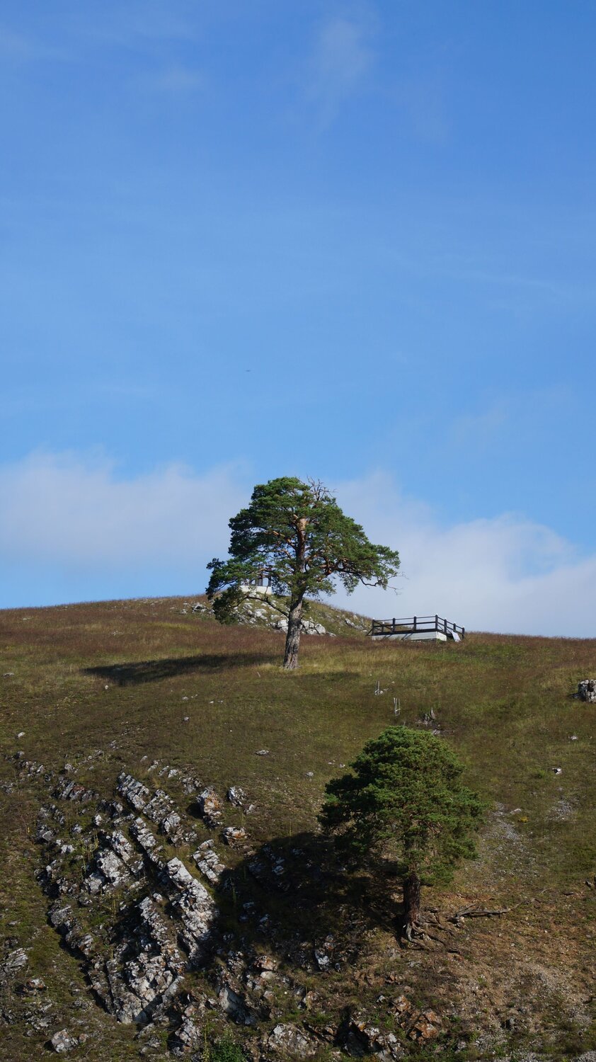 Photo #12056898
