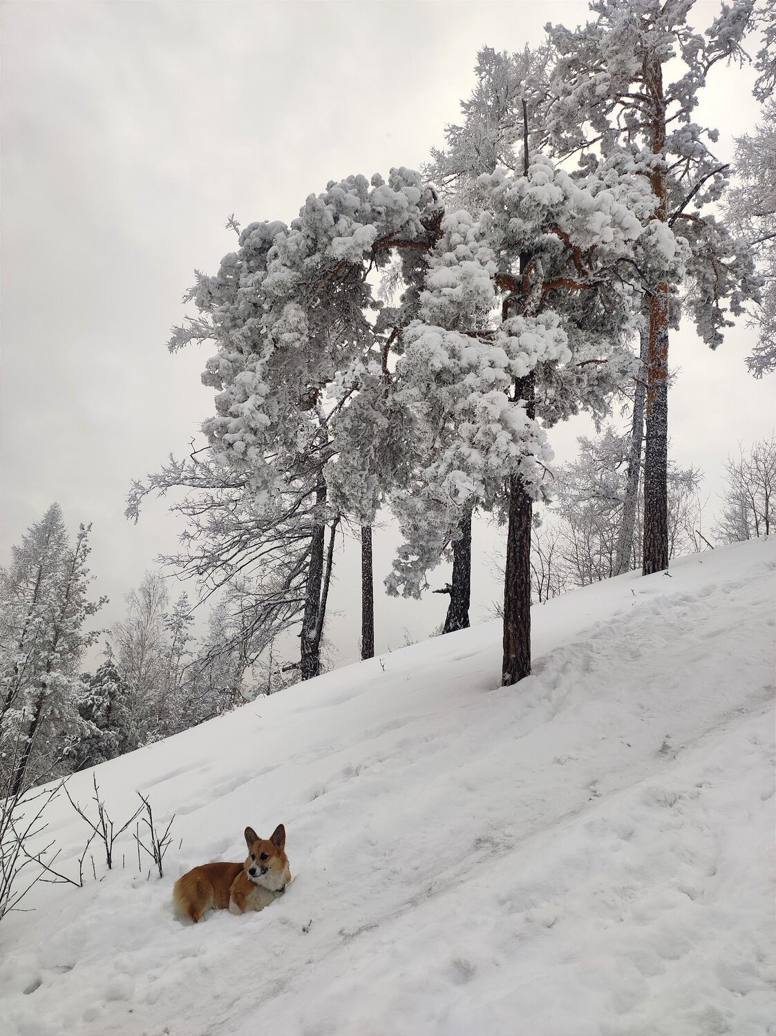 Photo #12056990