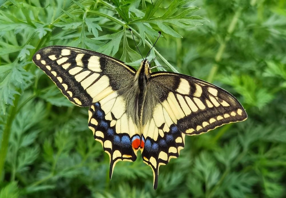 Photograph by Ирина Курицына