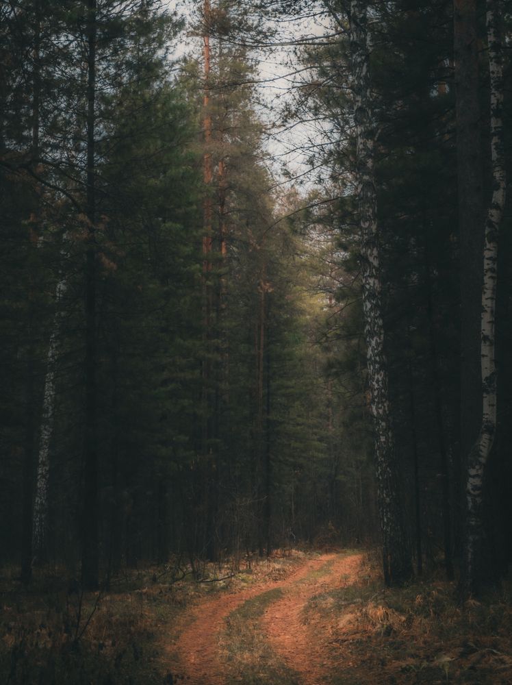 Photograph by Дмитрий Редковский
