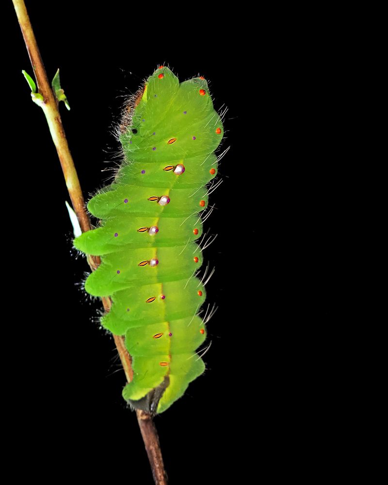 Photograph by Dharmendra Padhiyar