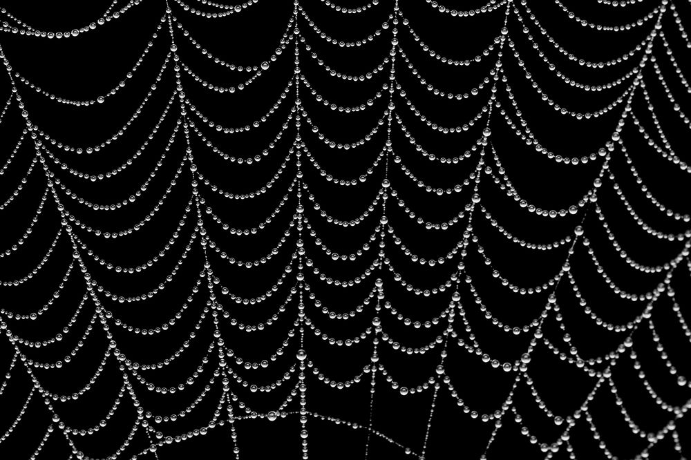 Photograph by Dharmendra Padhiyar