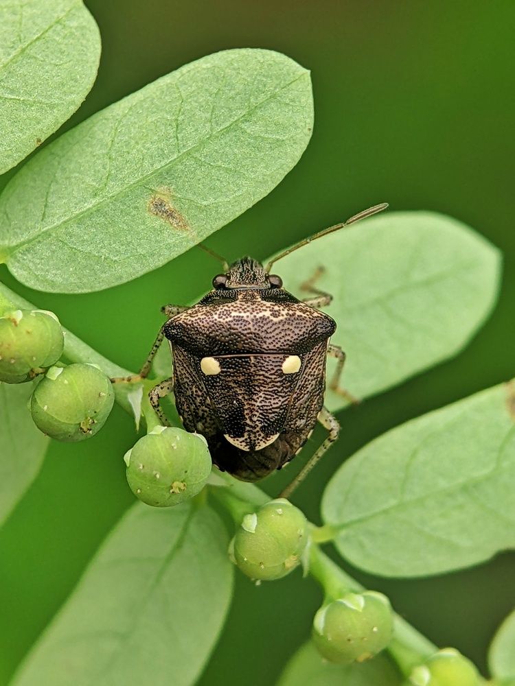 Photograph by Sai Krishna