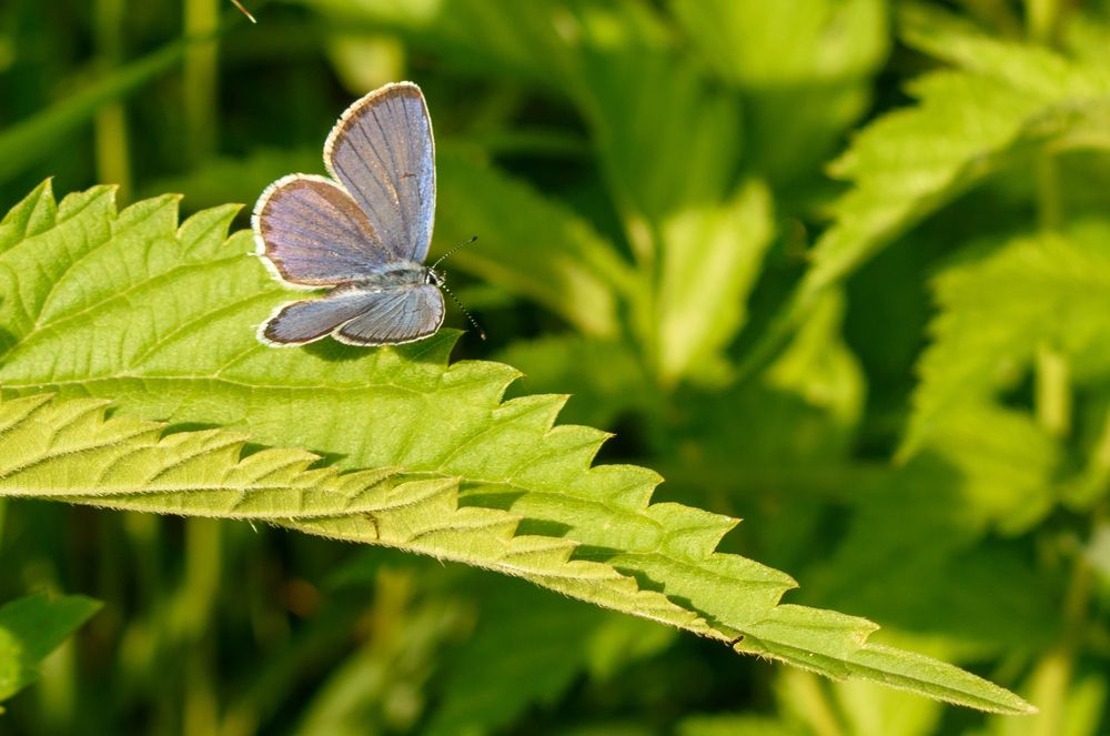 Photograph by Ирина Корнева