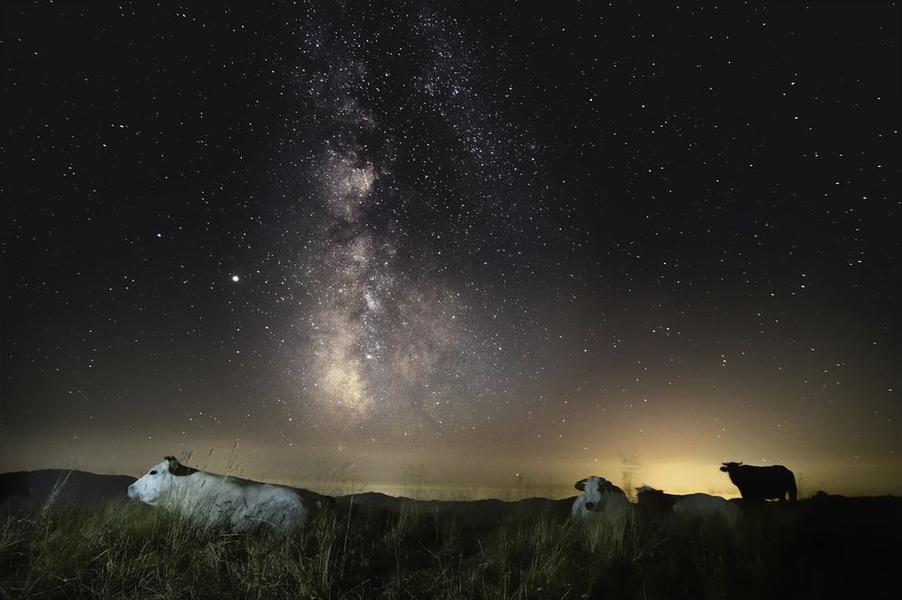 Photograph by Dino Sirica