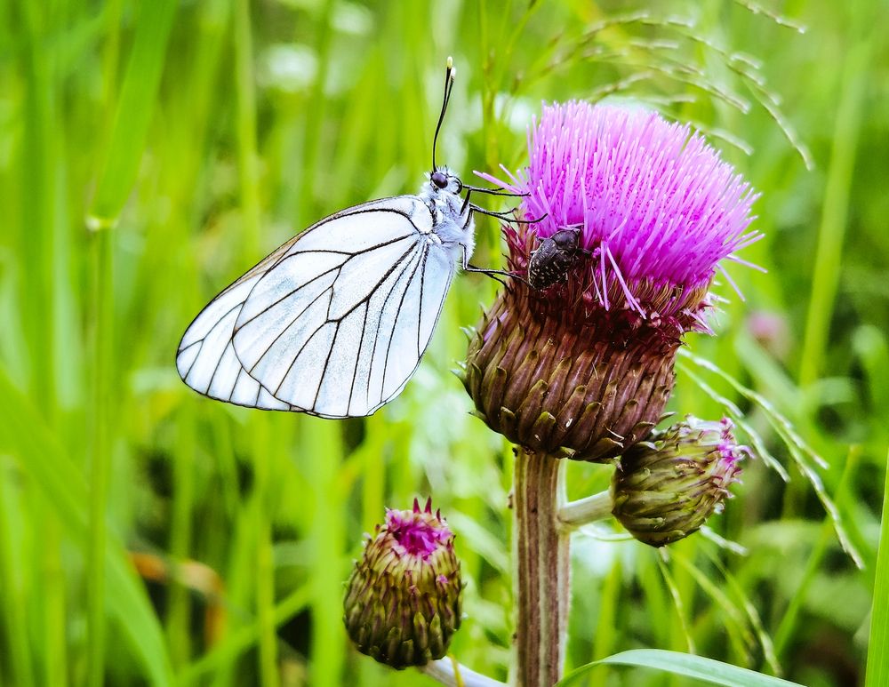 Photograph by Юлия