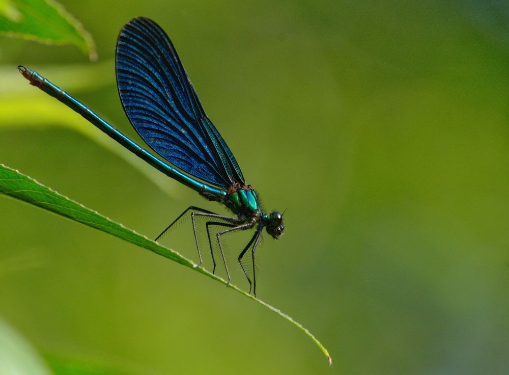 Photograph by Ирина Курицына