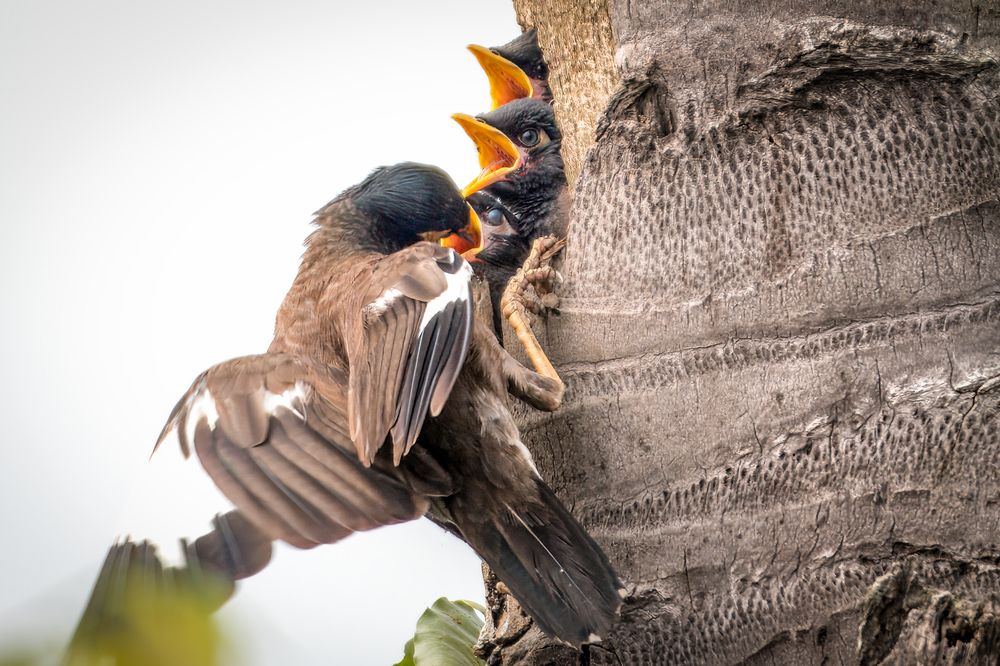 Photograph by Akash Patel