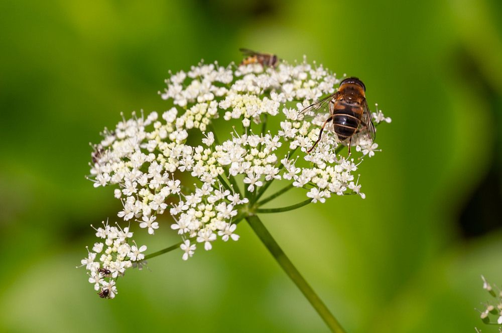 Photograph by Аверина Елена