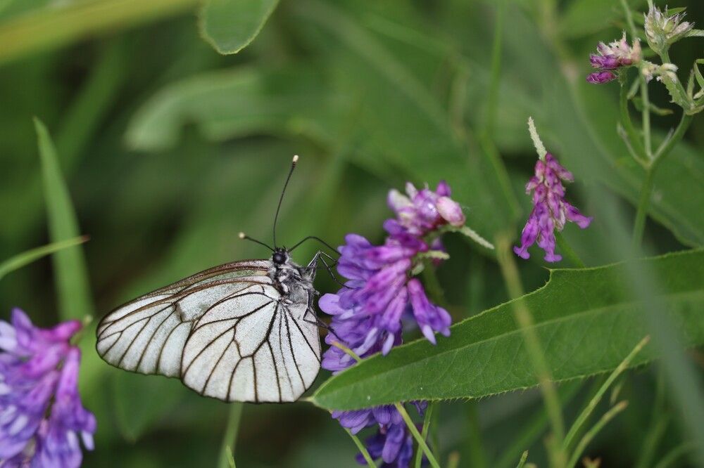 Photograph by Галина Мазур