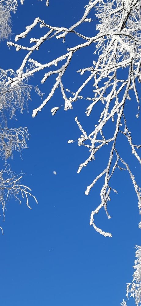 Photograph by Светлана Цапина