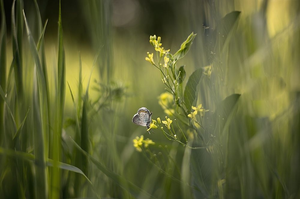 Photograph by Ирина