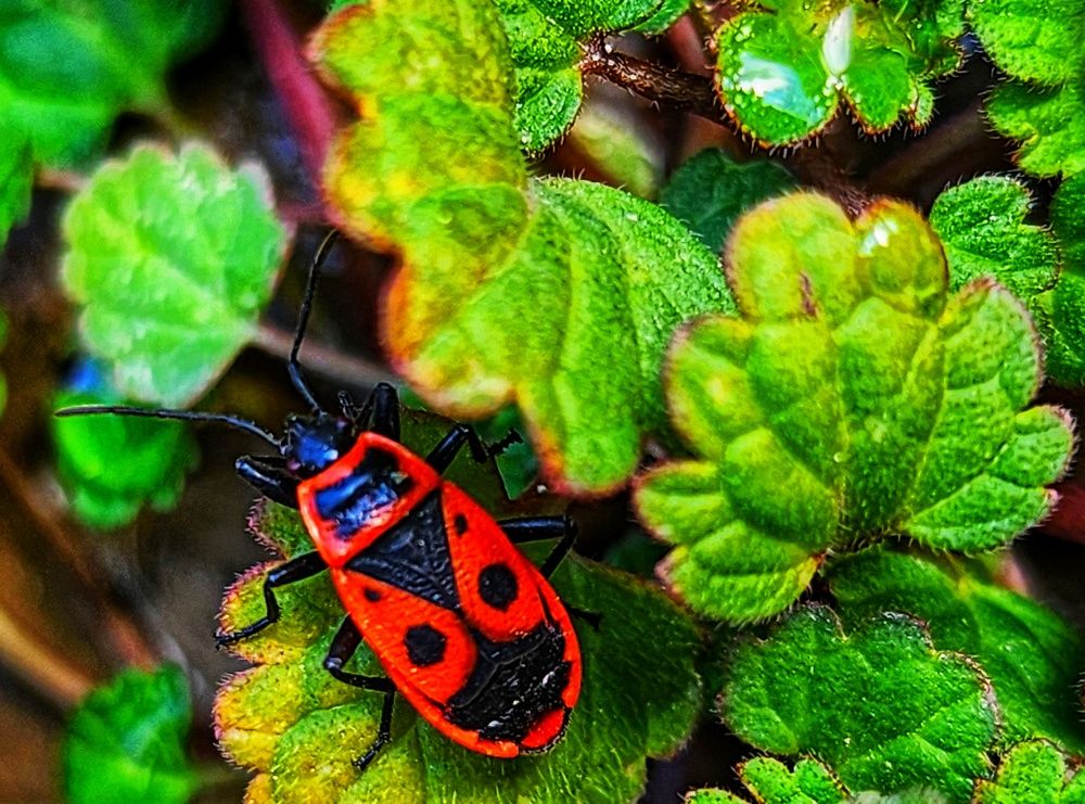 Фотография автора reyhane  khavaninzadeh