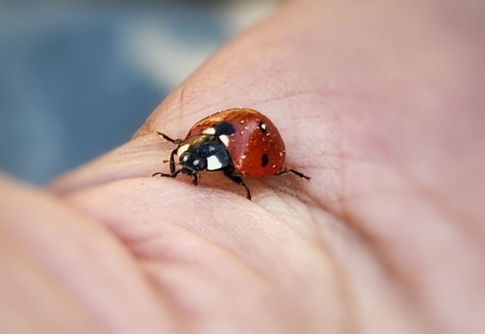 Фотография автора reyhane  khavaninzadeh