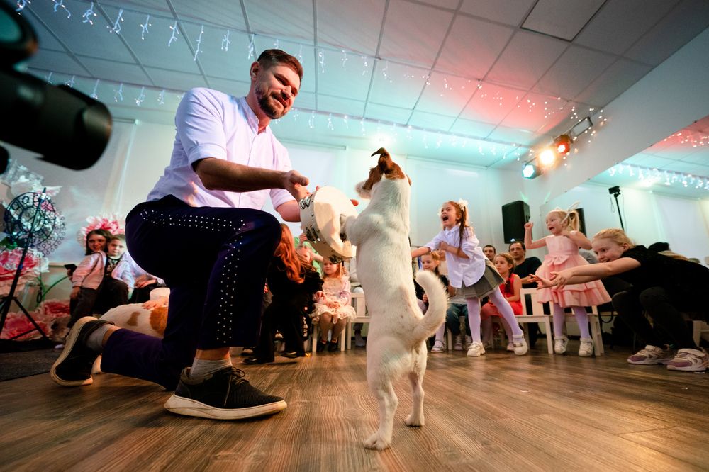 Photograph by Александр Гребенев