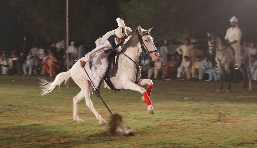 Photograph by Farrukh