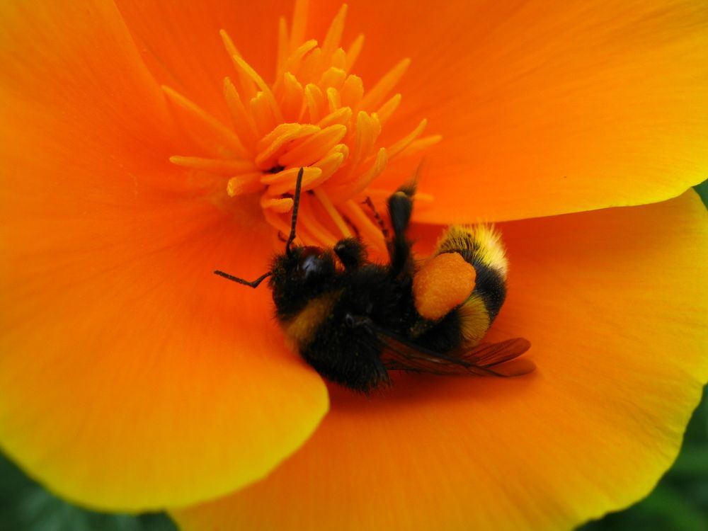 Фотография автора Татьяна