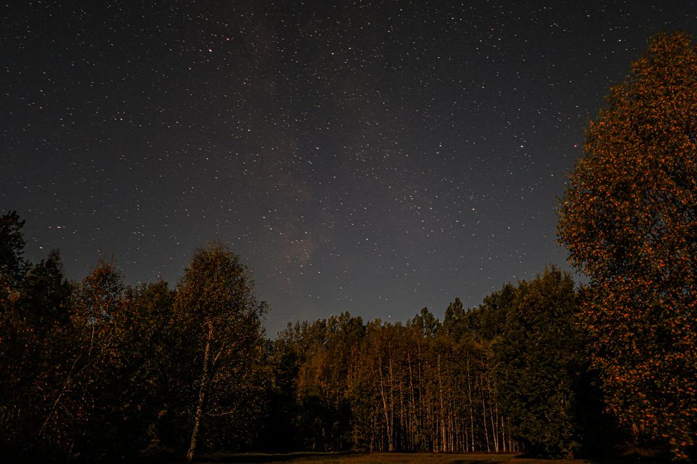 Фотография автора Григорий Борняков