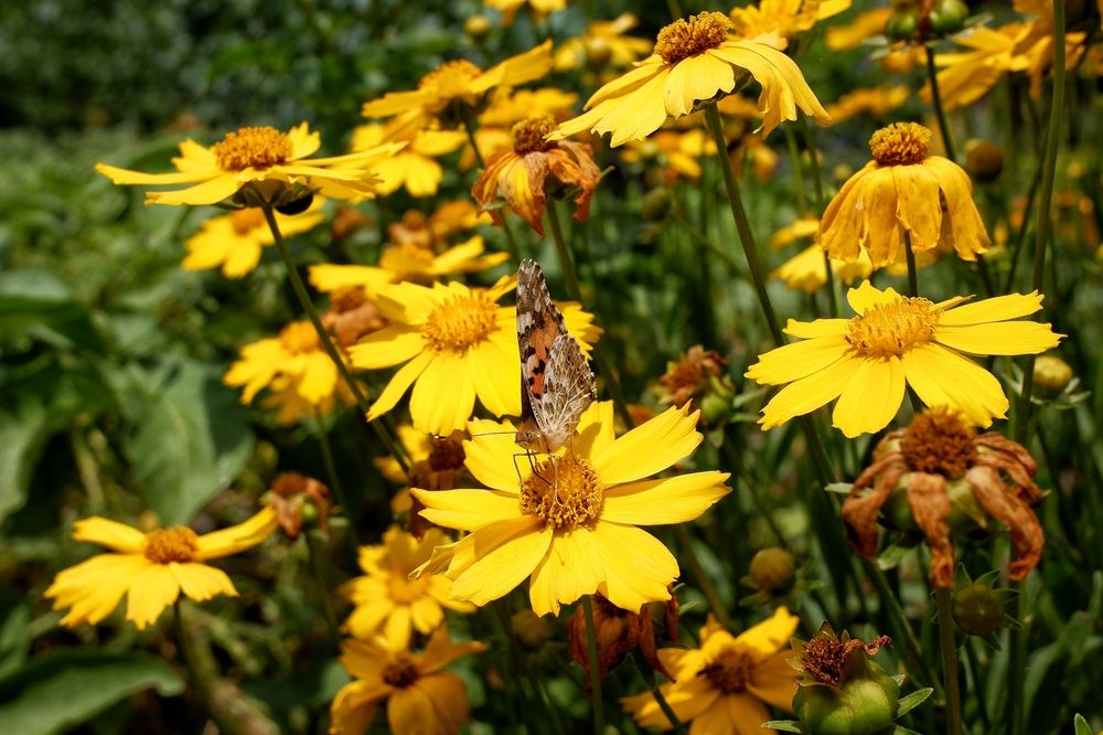 Photograph by Зорин Миша