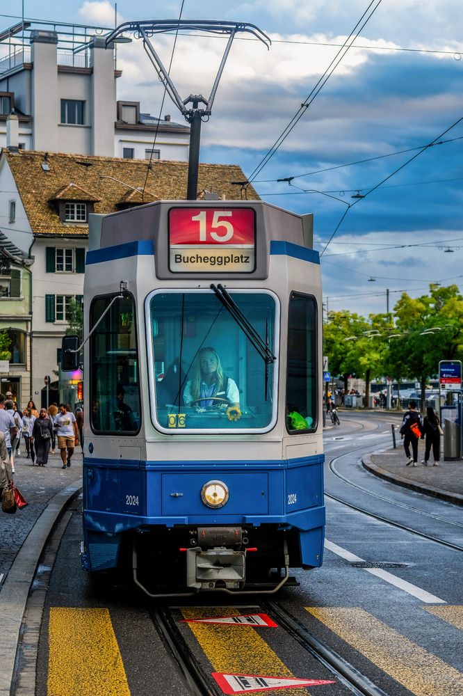 Фотография автора Mojtaba Chenari